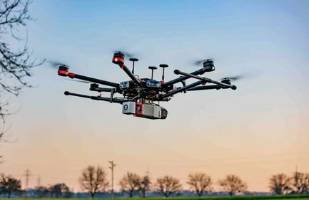 A New Way to See the Natural World