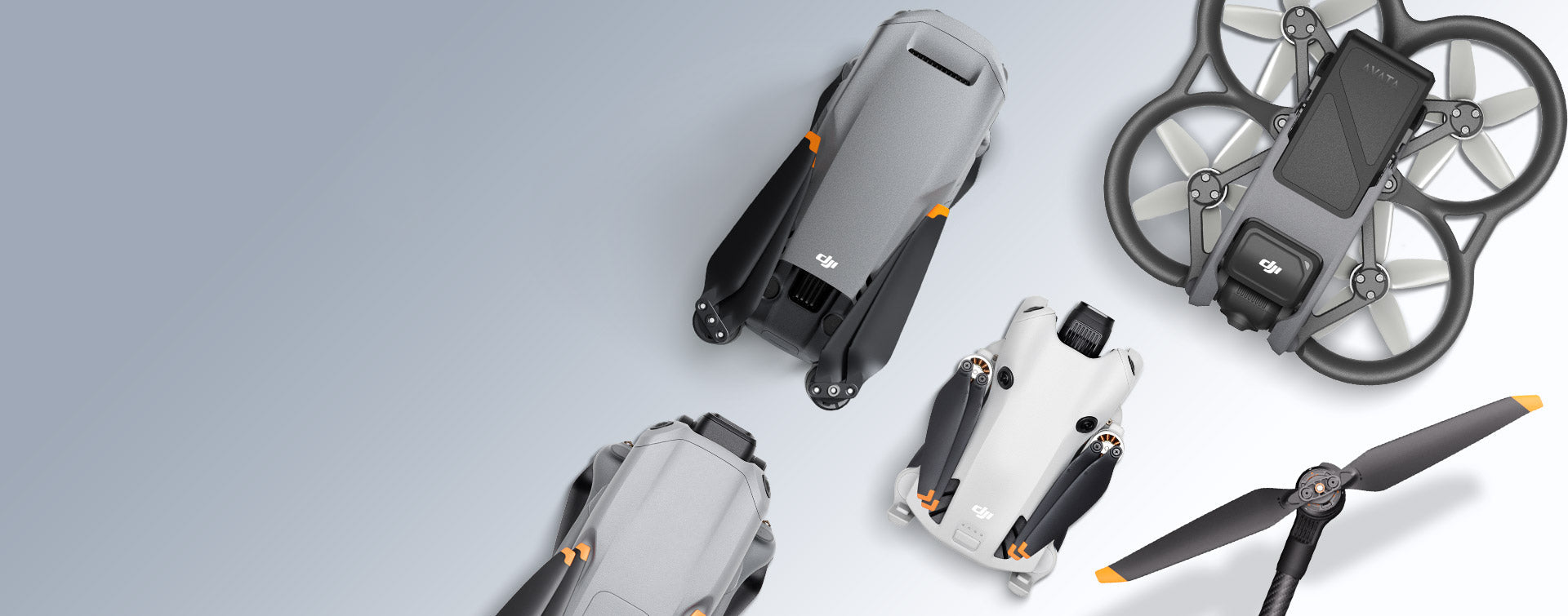 Construction & Infrastructure